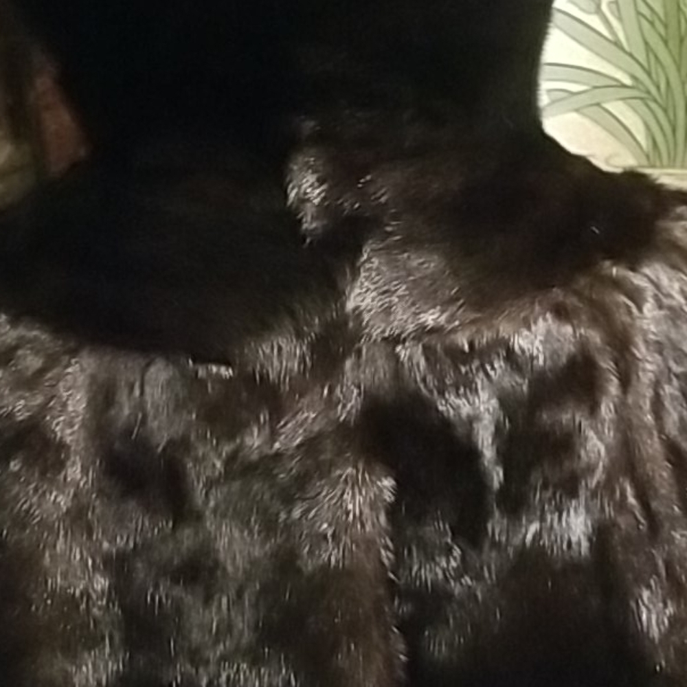 Mink Jacket/Belt Not Included - Picture 16 of 16